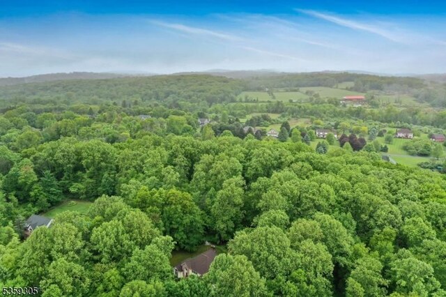 785 Backhus Estate Rd, Lebanon Twp, NJ 08826 - aerial view of property's location featuring a forest