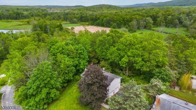 6 Gardenia Rd, Vernon Twp, NJ 07418 - drone / aerial view of a forest