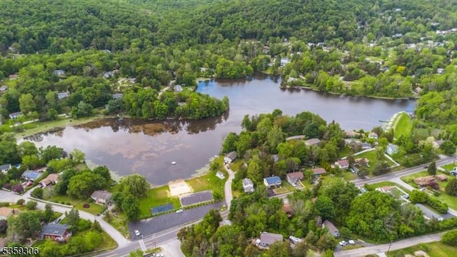 6 Gardenia Rd, Vernon Twp, NJ 07418 - aerial view of property and surrounding area with a forest and a large body of water