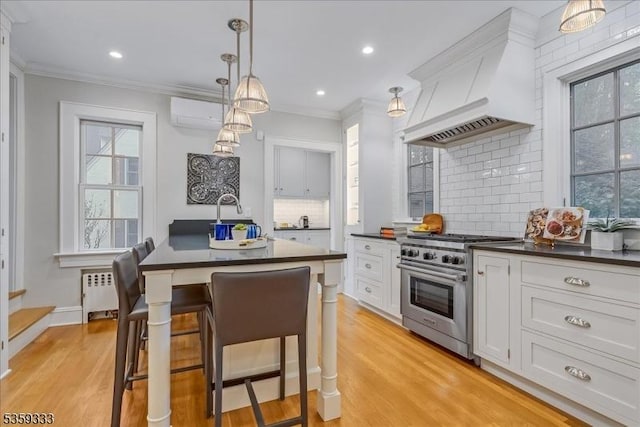 48 Baltusrol Way, Millburn Twp, NJ 07078 - kitchen featuring stainless steel range, custom exhaust hood, radiator, dark countertops, and backsplash