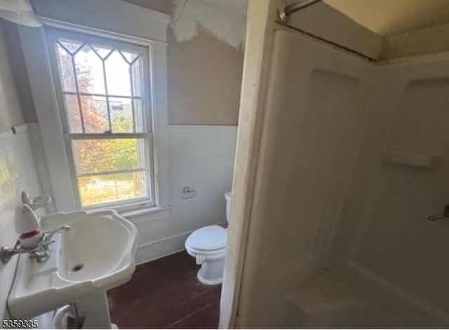 25 Prospect Ave, Andover Boro, NJ 07821 - full bathroom with a shower stall, plenty of natural light, wood finished floors, and toilet