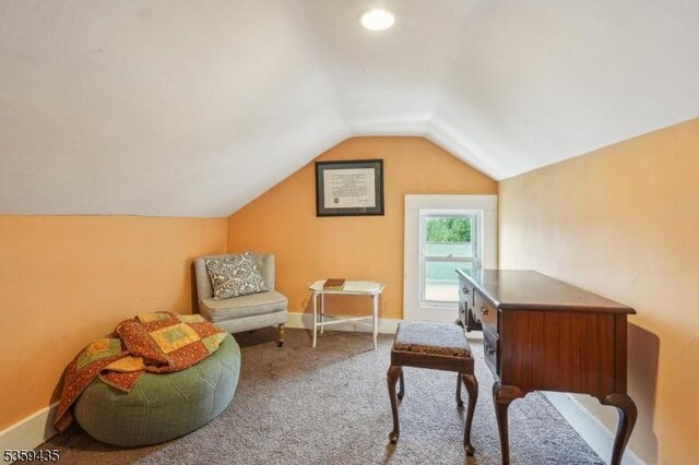 157 Liberty St, Hackettstown Town, NJ 07840 - office with vaulted ceiling, carpet flooring, and baseboards