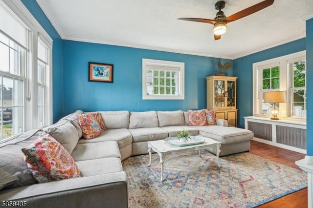 157 Liberty St, Hackettstown Town, NJ 07840 - living area featuring a ceiling fan, crown molding, and wood finished floors