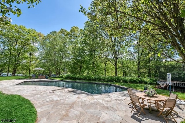 259 Indian Trail Dr, Franklin Lakes Boro, NJ 07417 - outdoor pool with a patio