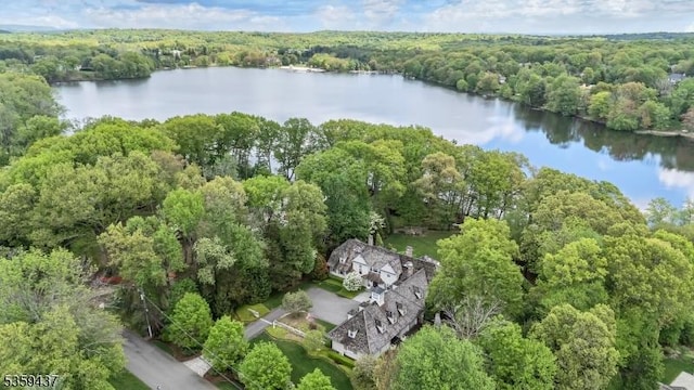 259 Indian Trail Dr, Franklin Lakes Boro, NJ 07417 - aerial overview of property's location with a forest and a nearby body of water