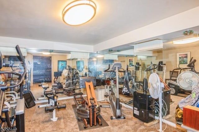 947 Madison Ave, Plainfield City, NJ 07060 - exercise room featuring carpet floors