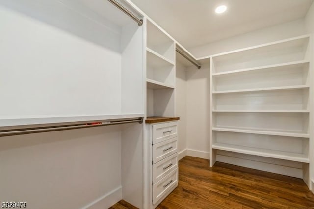 32 N Ave, Fanwood Boro, NJ 07023 - spacious closet with dark wood-type flooring