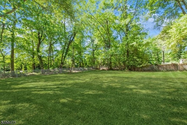 32 N Ave, Fanwood Boro, NJ 07023 - view of yard