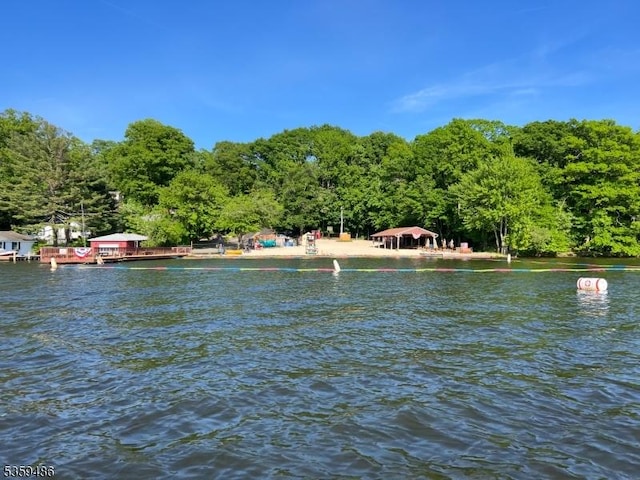 90 Georgia Ave, Jefferson Twp, NJ 07849 - water view