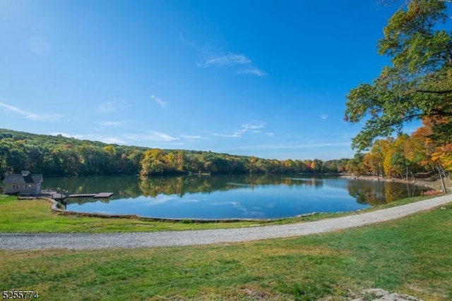 1 Brook Valley Ter, Kinnelon Boro, NJ 07405 - water view with a forest
