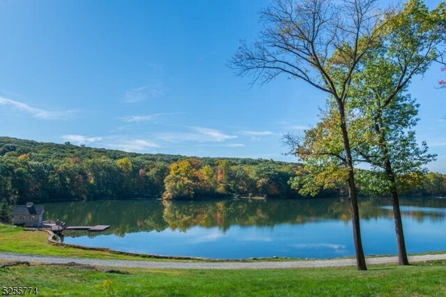 1 Brook Valley Ter, Kinnelon Boro, NJ 07405 - water view with a heavily wooded area