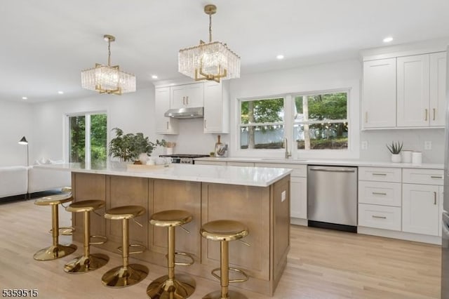 17 Misty Mountain Rd, Randolph Twp, NJ 07869 - kitchen featuring stainless steel dishwasher, under cabinet range hood, a chandelier, healthy amount of natural light, and recessed lighting