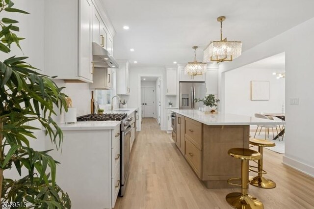17 Misty Mountain Rd, Randolph Twp, NJ 07869 - kitchen with appliances with stainless steel finishes, under cabinet range hood, light wood finished floors, and recessed lighting