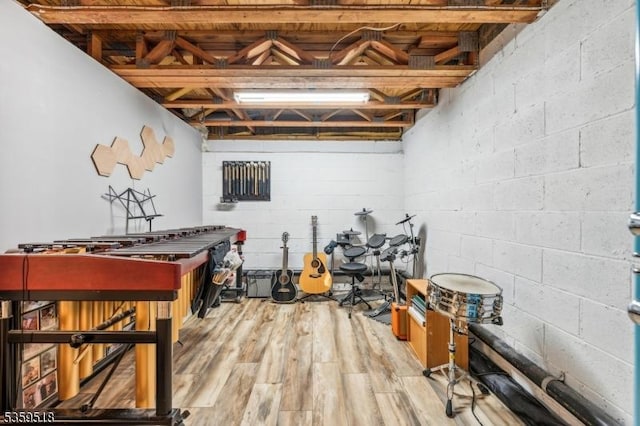 2406 Jamestown Cmn, Hillsborough Twp, NJ 08844 - below grade area with light wood finished floors and concrete block wall