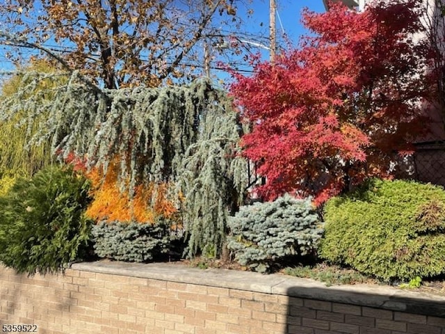 409 Washington St, Carlstadt Boro, NJ 07072 - view of yard