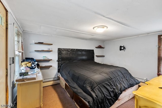 27 Wertsville Rd, East Amwell Twp, NJ 08551 - bedroom featuring carpet floors and a baseboard radiator