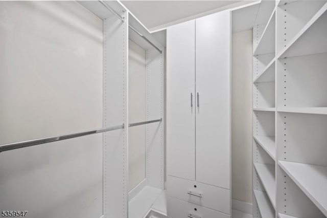 256 Marcia Way, Bridgewater Twp, NJ 08807 - view of walk in closet