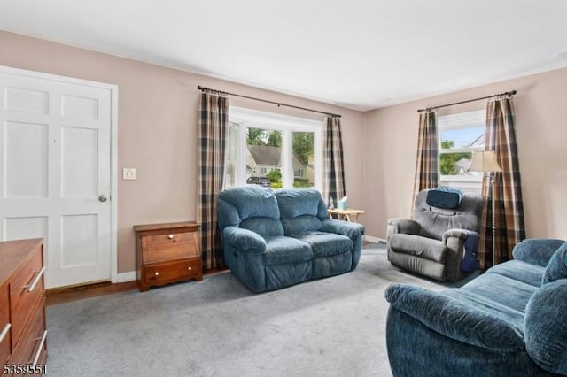 184 Locust Dr, Union Twp, NJ 07083 - living room featuring plenty of natural light, carpet flooring, and baseboards