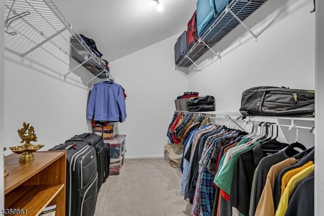 23 Bond St, Bridgewater Twp, NJ 08807 - spacious closet featuring carpet