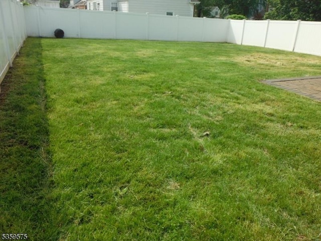 300 Jefferson Ave, Rahway City, NJ 07065 - view of yard
