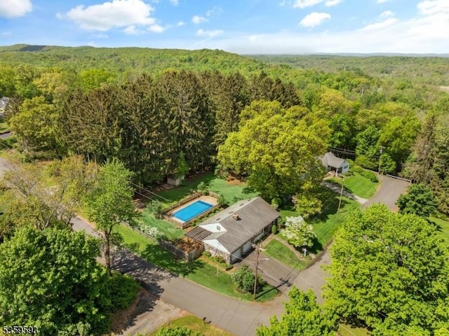 24 Jenkins Rd, Franklin Boro, NJ 07416 - drone / aerial view of a forest and a pool