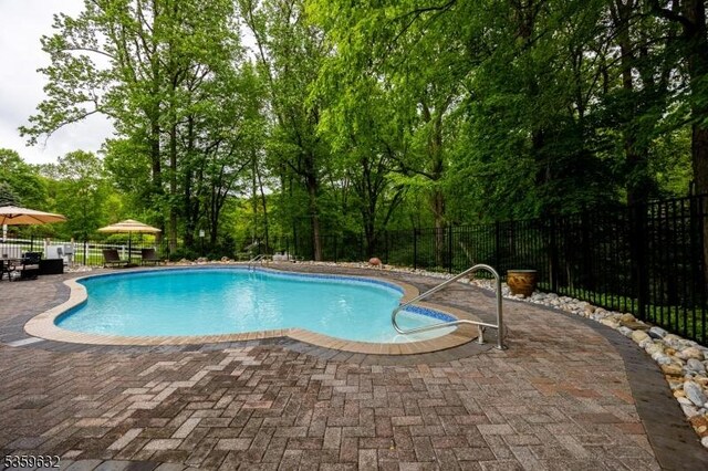 1625 Route206, Chester Twp, NJ 07930 - view of pool with a patio area