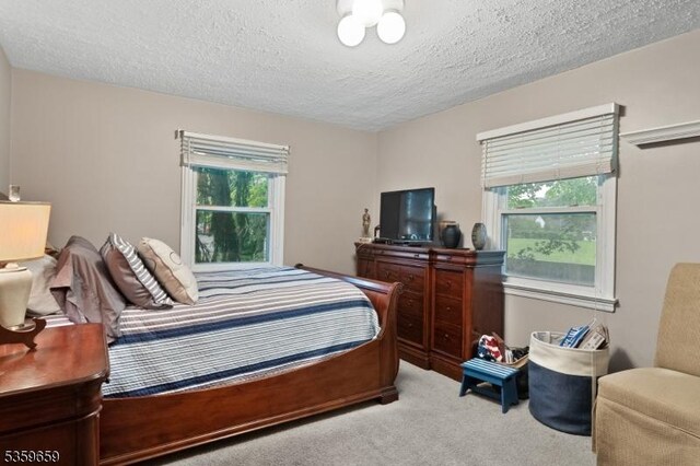 33 Irwin Pl, Bloomfield Twp, NJ 07003