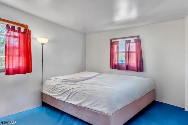 580 Eric Ln, Mount Arlington Boro, NJ 07850 - view of carpeted bedroom