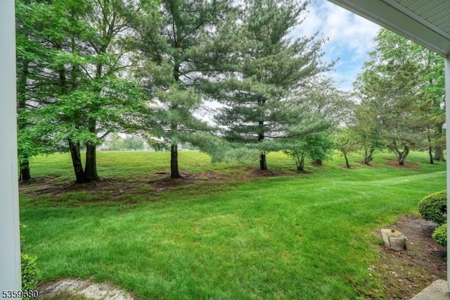 173 Gregory Ln, Franklin Twp, NJ 08823 - view of green lawn