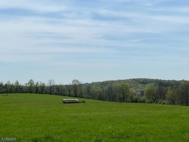 134 Lott Rd, Wantage Twp, NJ 07461 - view of grassy yard featuring a view of rural / pastoral area and a forest view