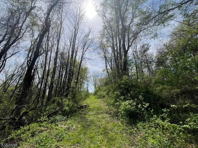 134 Lott Rd, Wantage Twp, NJ 07461 - view of tree filled area