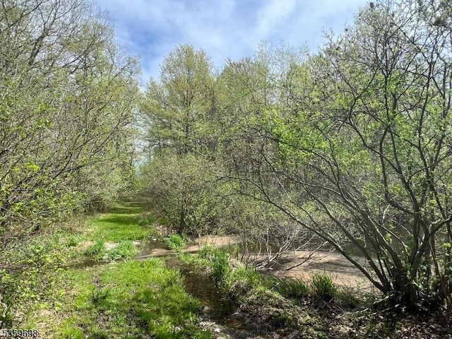 134 Lott Rd, Wantage Twp, NJ 07461 - view of nature