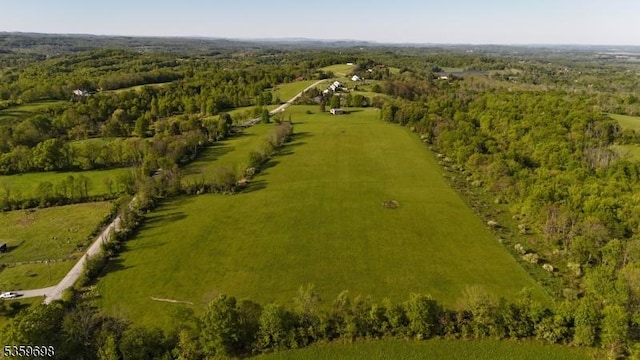 134 Lott Rd, Wantage Twp, NJ 07461 - drone / aerial view of a forest