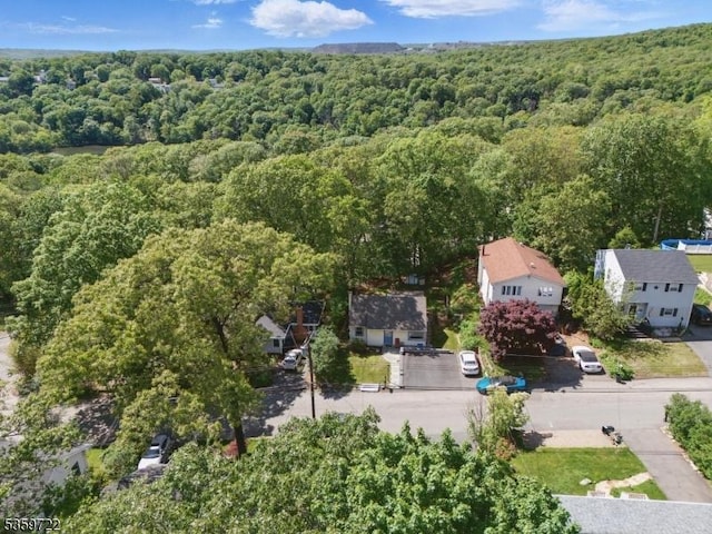 4 Erie Ave, Rockaway Twp, NJ 07866 - drone / aerial view of a forest