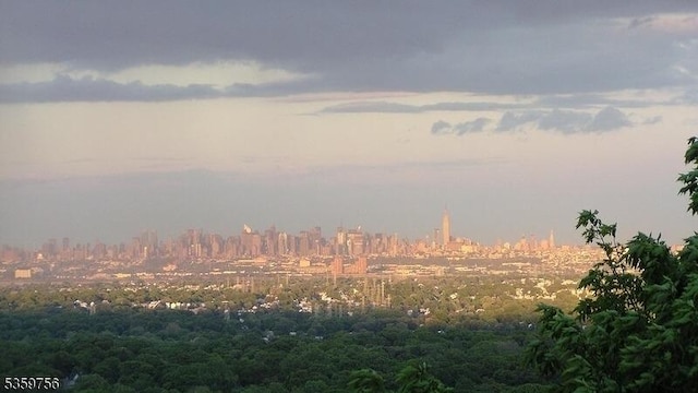10 Crestmont Rd Unit 3F, Montclair Twp, NJ 07042 - view of local wilderness with city skyline