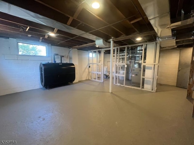 45 Park Ave, Newton Town, NJ 07860 - below grade area with oil tank