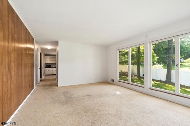 185 Ann St, Dover Town, NJ 07801 - unfurnished room with light colored carpet, wooden walls, and baseboards
