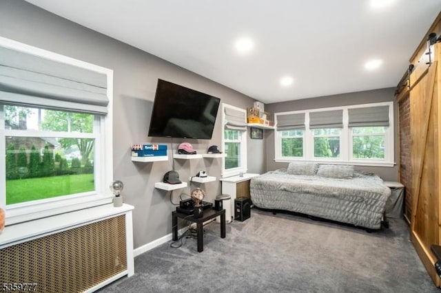 303 March Blvd, Pohatcong Twp, NJ 08865 - carpeted bedroom featuring a barn door, radiator, baseboards, and recessed lighting