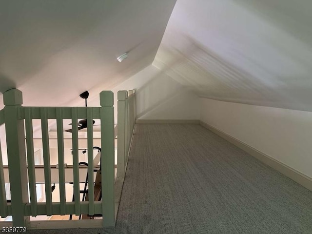 24 Lakeview Point Ave, Frankford Twp, NJ 07826 - bonus room with carpet floors and vaulted ceiling