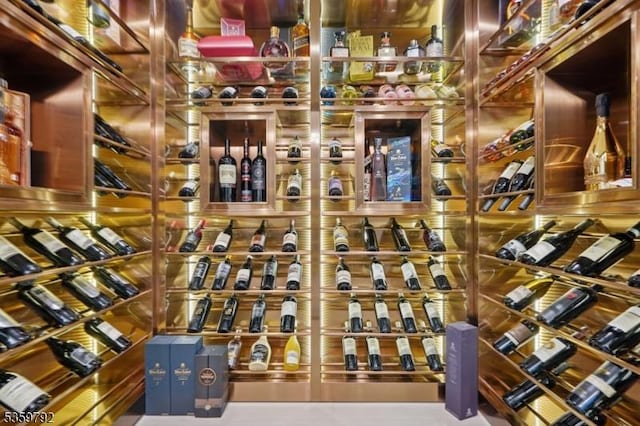 290 Long Hill Dr, Millburn Twp, NJ 07078 - view of wine room