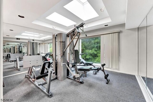 41 Park Way W, Orange Twp, NJ 07052 - gym with a raised ceiling and a skylight