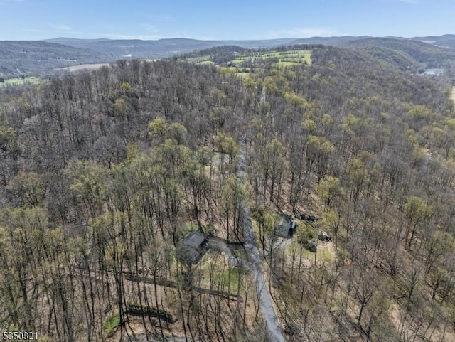192 Mountain Rd, Pohatcong Twp, NJ 08865 - aerial overview of property's location featuring a mountain backdrop and a forest