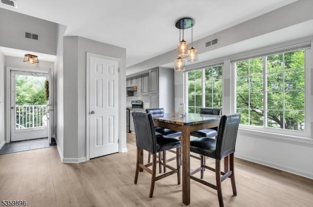 65 Academy Ct, Bedminster Twp, NJ 07921 - dining space featuring baseboards, plenty of natural light, and light wood-style floors