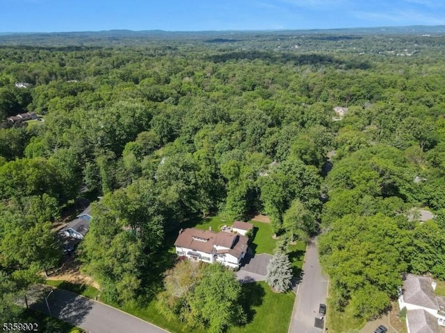 24 Partridge Run, Montvale Boro, NJ 07645 - aerial view of property and surrounding area with a forest