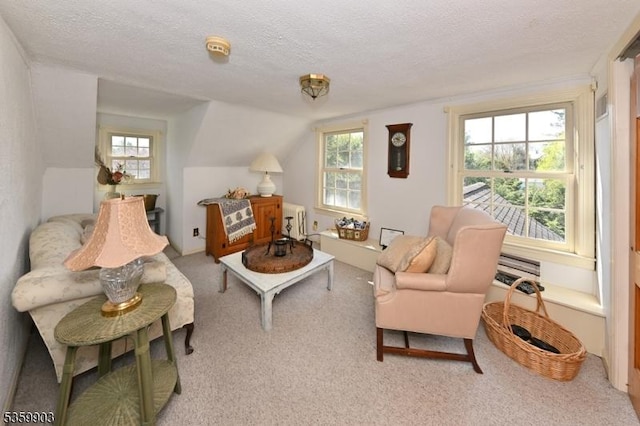 777 E Ridgewood Ave, Ridgewood Village, NJ 07450 - carpeted living room with a textured ceiling and radiator