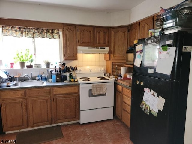 369 Lake Shore S Unit A, Montague Twp, NJ 07827 - kitchen with freestanding refrigerator, white range with electric cooktop, under cabinet range hood, a sink, and backsplash