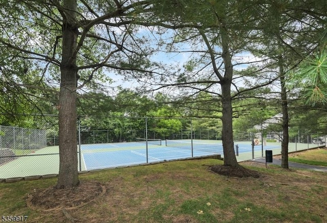 14 Coolidge Way, Montgomery Twp, NJ 08540 - view of tennis court