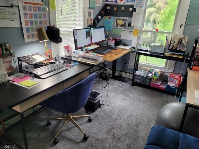 6 Charles St, Knowlton Twp, NJ 07840 - home office featuring carpet