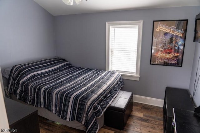 61 Park Ave, Flemington Boro, NJ 08822 - bedroom with dark wood-type flooring and multiple windows