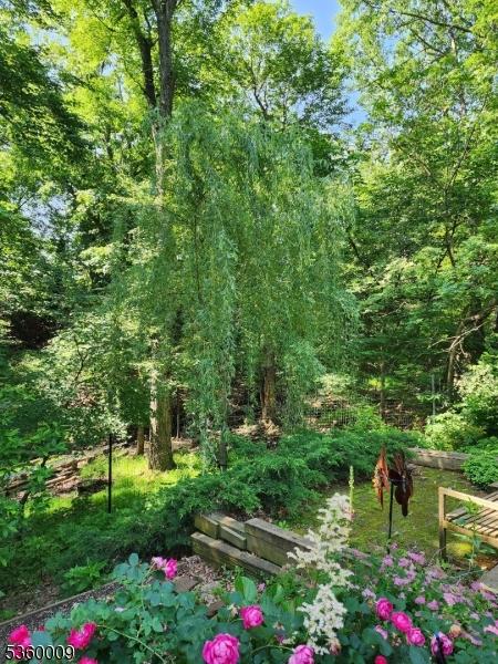 47 Drake Rd, Franklin Twp, NJ 08873 - view of yard with a wooded view